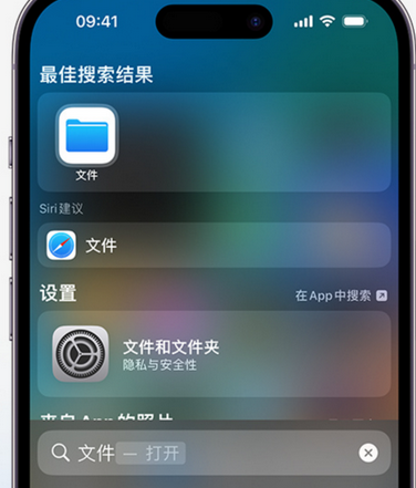 武乡apple维修中心分享iPhone文件应用中存储和找到下载文件 