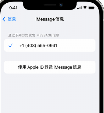 武乡apple维修iPhone上无法正常发送iMessage信息 