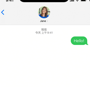 武乡apple维修iPhone上无法正常发送iMessage信息