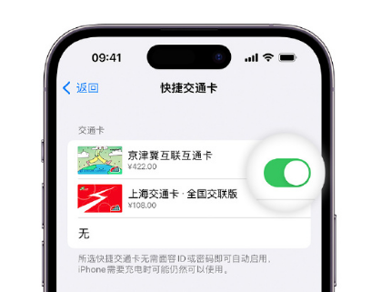 武乡apple维修点分享iPhone上更换Apple Pay快捷交通卡手绘卡面 