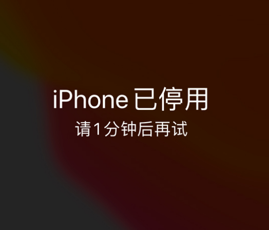 武乡苹果手机维修分享:iPhone 显示“不可用”或“已停用”怎么办？还能保留数据吗？ 