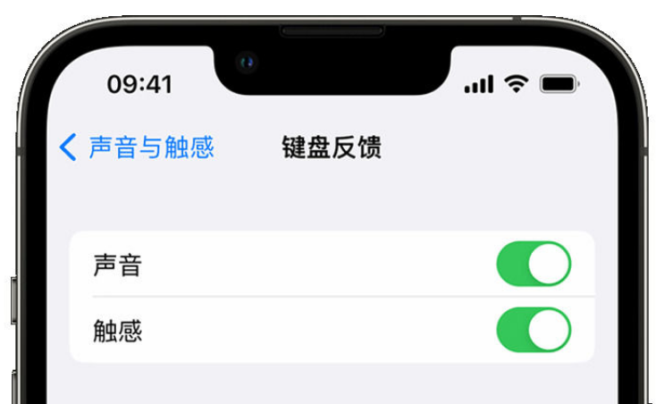 武乡苹果手机维修分享iPhone 14触感键盘使用方法 