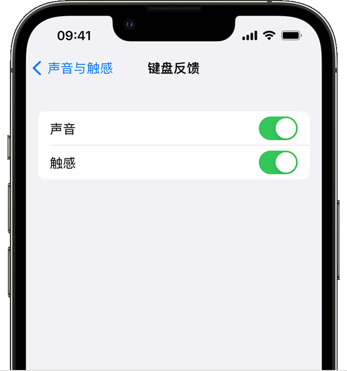 武乡苹果14维修店分享如何在 iPhone 14 机型中使用触感键盘 