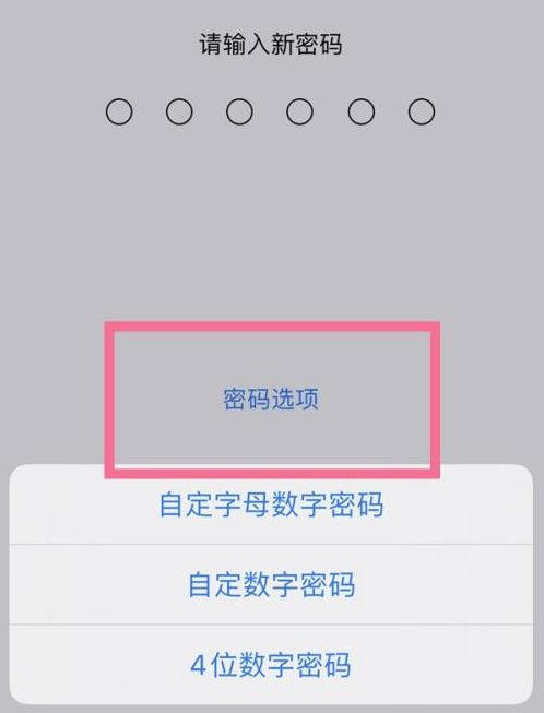 武乡苹果14维修分享iPhone 14plus设置密码的方法 