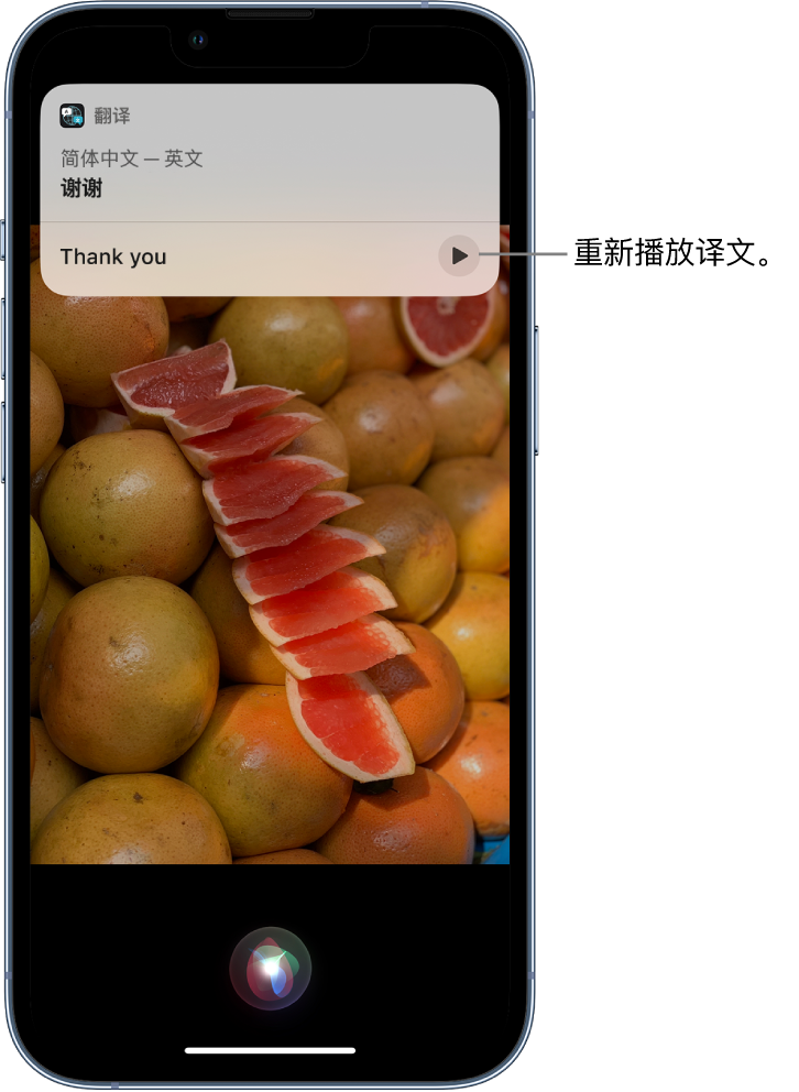 武乡苹果14维修分享 iPhone 14 机型中使用 Siri：了解 Siri 能帮你做什么 