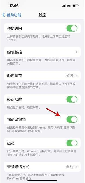 武乡苹果手机维修分享iPhone手机如何设置摇一摇删除文字 